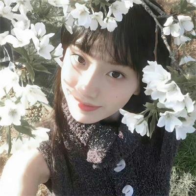 百花缭乱武士少女