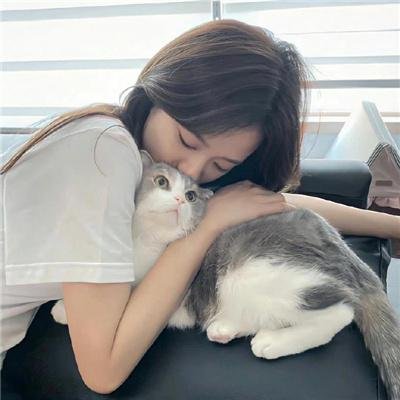 大内密探王二狗